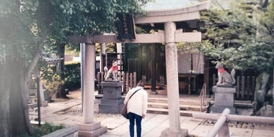 8300_rental family_tobiki inari shrine_0.jpg